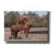 Millwood Pines Assateague Horses I by Lori Deiter - Wrapped Canvas Photograph Canvas, Solid Wood in Brown | 18 H x 26 W x 0.75 D in | Wayfair