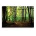 Loon Peak® 'Summer Forest' By Nicklas Gustafsson Acrylic Glass Wall Art, 24"X16" Plastic/Acrylic in Green | 12 H x 16 W x 0.13 D in | Wayfair