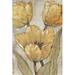 Red Barrel Studio® Ochre & Gray Tulips II by Timothy O' Toole - Wrapped Canvas Painting Canvas | 12 H x 8 W x 1.25 D in | Wayfair