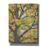 Red Barrel Studio® Dappled Dusk II - Wrapped Canvas Graphic Art Canvas in Brown/Green | 16 H x 12 W x 0.75 D in | Wayfair