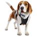 Embrace the Pace Black No Pull Dog Harness, Medium