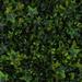 3rd Street Inn Artificial Hedge - Outdoor Artificial Plant - Great Boxwood & Ivy Substitute | 2 H x 20 W x 20 D in | Wayfair GPEG-100-4