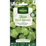 Vilmorin - Shiso Vert - cm