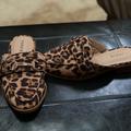 Torrid Shoes | Cheetah Loafers | Color: Black | Size: 7 Ww