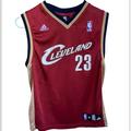 Adidas Shirts & Tops | Lebron James Cavs Jersey | Color: Brown/Purple | Size: Mb