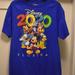 Disney Shirts | Adult 2020 Walt Disney World Parks Mickey And Friends T-Shirt Large | Color: Gray | Size: L