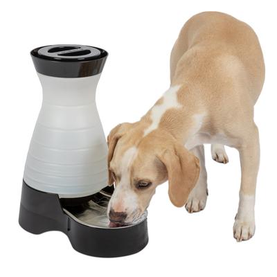 PetSafe Healthy Pet Gravity Waterer, Holds up to 1 gallon