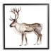 Stupell Industries Reindeer Wild Animal Children's Nursery by Fox Hollow Studios - Painting Wood in Brown | 12 H x 12 W x 1.5 D in | Wayfair