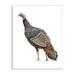 Stupell Industries Wild Turkey Bird Kids' Nursery Animal by Fox Hollow Studios - Painting Wood in Brown | 15 H x 10 W x 0.5 D in | Wayfair