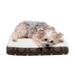 FurHaven Paw Decor Print Deluxe Pet Bed Polyester/Memory Foam | 3 H x 20 W x 15 D in | Wayfair 42203321