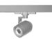 WAC Lighting Paloma Track Head in Gray | 5.125 H x 11.375 W x 3.25 D in | Wayfair WTK-LED512F-930-PT