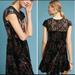 Anthropologie Dresses | Anthropologie Deletta Anama Velvet Swing Dress Nwt Sz M | Color: Black | Size: M