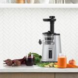 Omega Cold Press 365 Compact Masticating Vertical Juicer Stainless Steel in Gray | 17.33 H x 6.3 W x 8.86 D in | Wayfair JC3000SV13