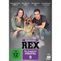 Kommissar Rex - Staffel 9 (DVD)