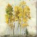 Darren Gygi Home Collection Aspen by Darren Gygi - Wrapped Canvas Graphic Art Canvas | 5 H x 5 W x 1 D in | Wayfair 262-Z-0505