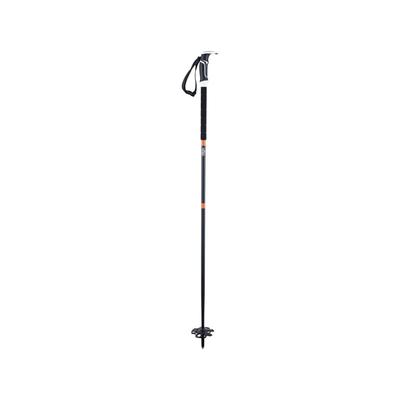 Backcountry Access Scepter 115 Pole Raw C200501001115