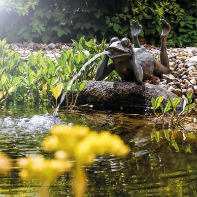Wasserspeier frosch + Solar-Teichpumpe Wasserspiel Gartenfigur 101650 - Esotec Image