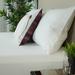 Protect-A-Bed Polyester Zip Pillow Protector Polyester in White | 31 H x 21 W x 0.25 D in | Wayfair 83506-DCOM