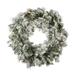 Vickerman 24" Flocked Kiana Artificial Christmas Wreath, Warm White Dura-Lit® LED Mini Lights - Flocked White on Green