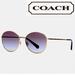 Coach Accessories | Coach Round Sunglasses Nwt | Color: Black/Blue | Size: Os