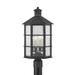Lake County by Mark D. Sikes - 4 Light Exterior Post - French Iron Frame - Clear Seeded Glass