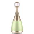 Gold Magnetic Facial Massager by Prospera in Lime