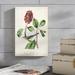 Ophelia & Co. Bonapartes Flycatching Warbler by James Audubon - Painting Print on Canvas in Blue/Green/Red | 12 H x 8 W x 1.25 D in | Wayfair