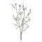 Light Garden 700023 - FOAM FLOWER, WHITE CHERRY BLOSSOM 41