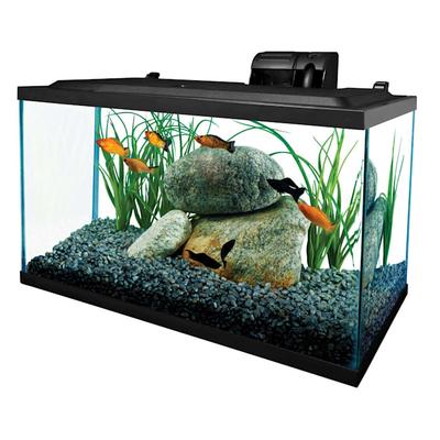 Tetra Glass 29 Gallon Rectangular Shippable Open Stock Fish Aquarium Tank