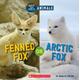 Fennec Fox or Arctic Fox (paperback) - by Marilyn Easton