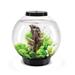 biOrb CLASSIC 30 8 Gallon Round Aquarium Tank w/ MCR Light Acrylic (shatterproof w/ great clarity) in Black | 16.5 H x 15.75 W x 15.75 D in | Wayfair