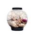 biOrb CLASSIC Aquarium w/ Standard LED Light Acrylic (shatterproof w/ great clarity) in Black | 12.5 H x 11.75 W x 11.75 D in | Wayfair 71999