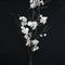 Light Garden 700096 - BLUSH CHERRY BLOSSOM BRANCH, 36