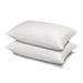 The Twillery Co.® Boden Gel Fiber Firm Pillow Gel Fiber/100% Cotton in White | 20 H x 36 W in | Wayfair 5E7FFF2C01D04AAF955948C1FB8EE910