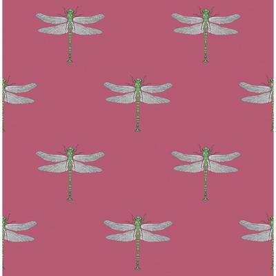 Seabrook Designs Catalina Dragonfly Unpasted Wallpaper
