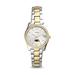 Women's Fossil Southern Miss Golden Eagles Scarlette Mini Two-Tone Stainless Steel Watch