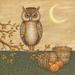 Red Barrel Studio® Halloween Owl Canvas, Wood | 30 H x 30 W x 1.25 D in | Wayfair 3F94181CB2A34355AD819ABF35F0879C
