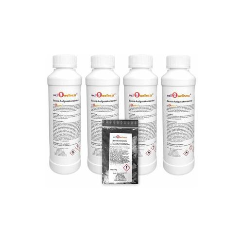 Saunaaufguss Set 4 x 250 ml Wohlfühlen 1 plus 10g Mentholkristalle