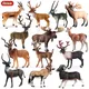 Oenux – figurines d'animaux sauvages Wapiti Sika cerf antilope Argali modèle d'action jouet