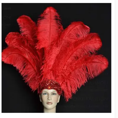 Belle plume d'autruche rouge naturelle plumage décoratif mariage festival 50-55 cm 20 - 22