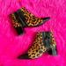 Nine West Shoes | Leopard Print Pointed Toe Nine West Ankle Boots | Color: Black/Tan | Size: 6.5