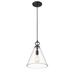 Beachcrest Home™ Wales 1 Light Pendant Glass in Black | 14.25 H x 11.5 W x 11.5 D in | Wayfair 0DA9E3A9ACC64ED0A8EA6A3309545CC8