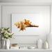 DecorumBY Sea Shell Horn - Photograph Plastic/Acrylic/Metal in Orange | 30 H x 40 W x 2.5 D in | Wayfair Nautical Art Sea Shell Horn AC 30x40"