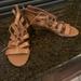 American Eagle Outfitters Shoes | Euc American Eagle Gladiator Sandals. Size 6 | Color: Tan | Size: 6