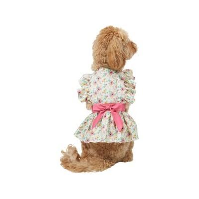 Frisco Dainty Pink Floral Dog & Cat Dress, Medium
