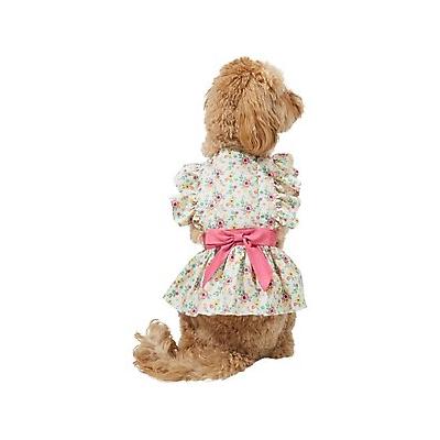 Frisco Dainty Pink Floral Dog & Cat Dress, Medium