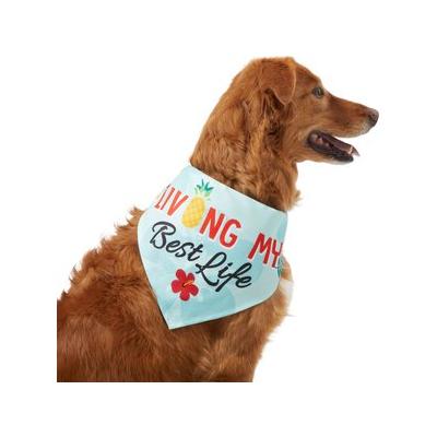 Frisco Living My Best Life Dog & Cat Bandana, X-Small/Small