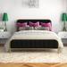 Etta Avenue™ Melle Platform Bed Velvet in Black | 42.5 H x 62.2 W x 83 D in | Wayfair 16F7970051FF445B8E5843B8CB1D5B76