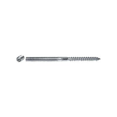 Stockschraube M10 120mm lang vezinkt mit tx bit Aufnahme 6283012 Image