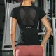 T-shirt de course à manches courtes pour femmes haut de yoga sportif maille respirante vêtements